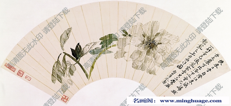 恽寿平《牡丹图》超高清大图百度云网盘下载